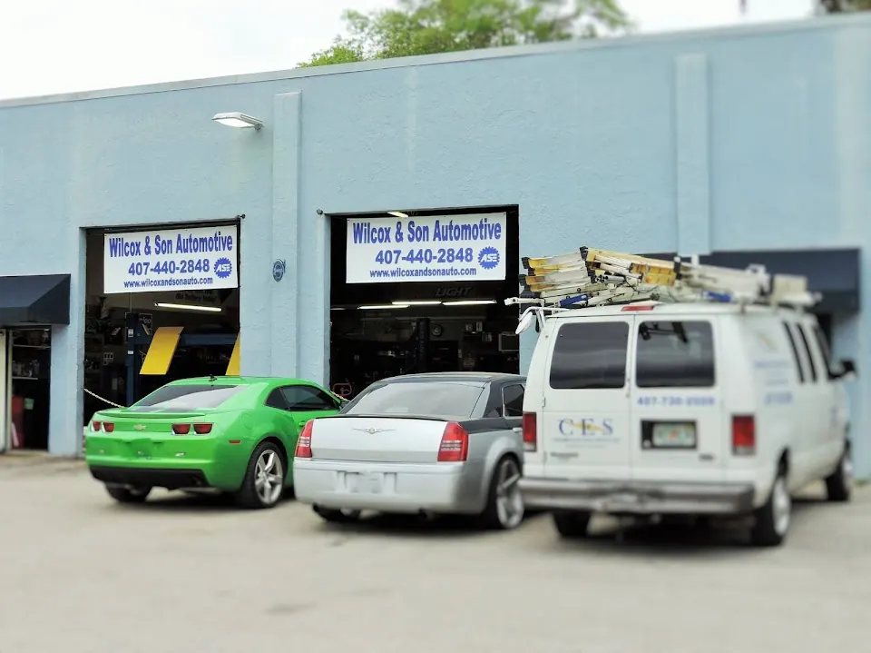 Wilcox & Son Automotive, LLC