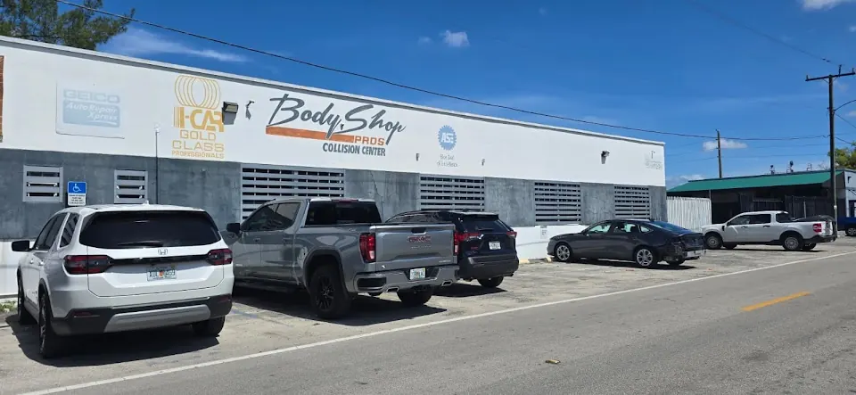 Body Shop Pros